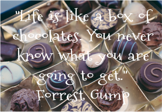 http://barnimages.com/life-box-chocolates/