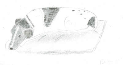 Pencil sketch of Toby 2012 by Megan Higginson