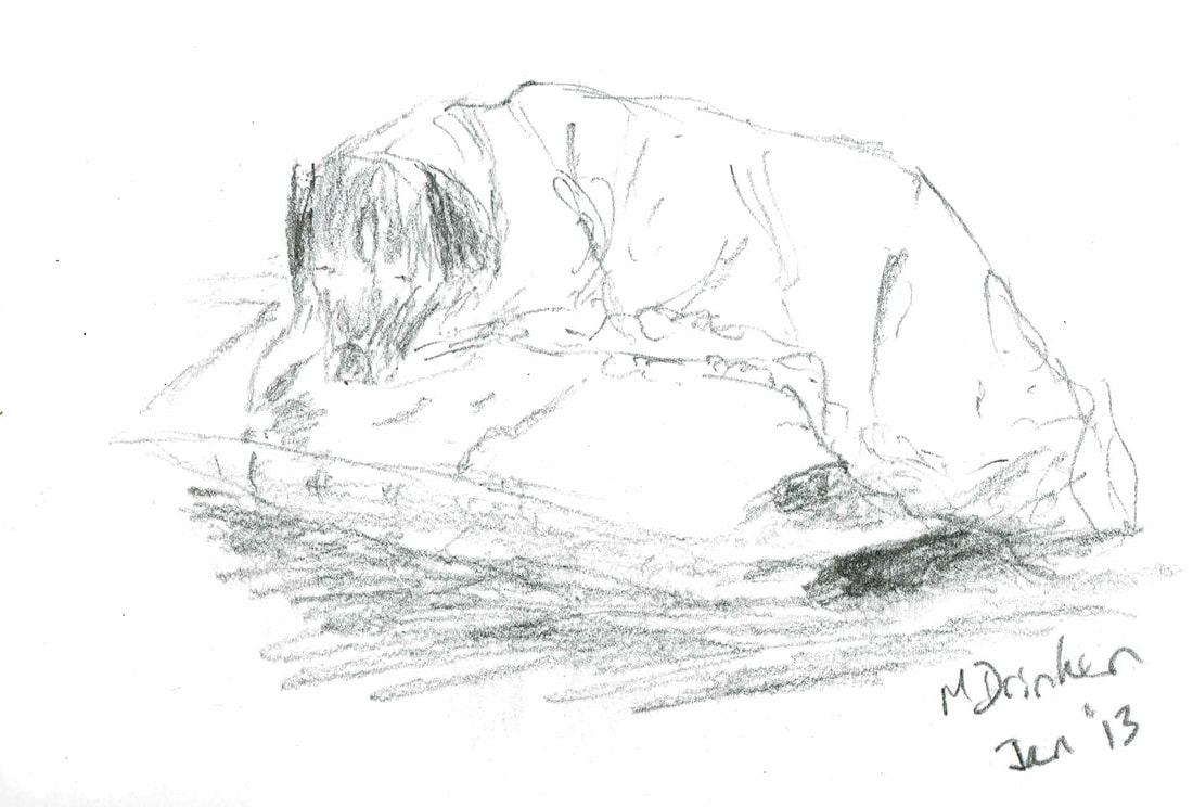 Pencil sketch of Toby 2013 by Megan Higginson